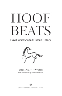 Titelbild: Hoof Beats 1st edition 9780520380677