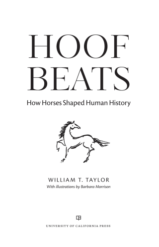 Cover image: Hoof Beats 1st edition 9780520380677