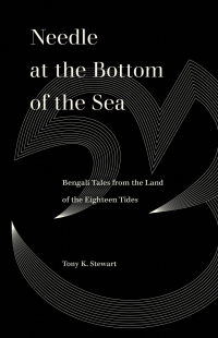 Cover image: Needle at the Bottom of the Sea 1st edition 9780520388932