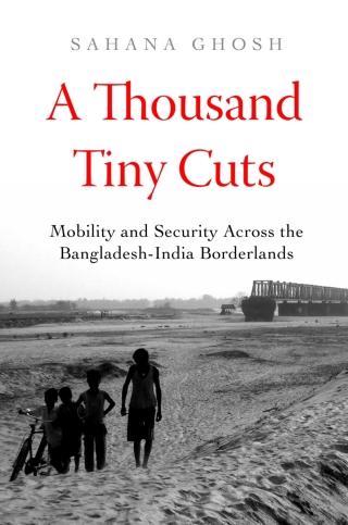 صورة الغلاف: A Thousand Tiny Cuts 1st edition 9780520395725