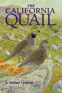 Cover image: The California Quail 1st edition 9780520054561