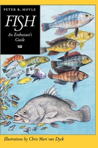 Cover image: Fish 1st edition 9780520201651