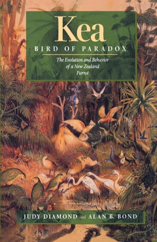 表紙画像: Kea, Bird of Paradox 1st edition 9780520213395