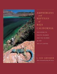 Omslagafbeelding: Amphibians and Reptiles of Baja California, Including Its Pacific Islands and the Islands in the Sea of Cortés 1st edition 9780520224179