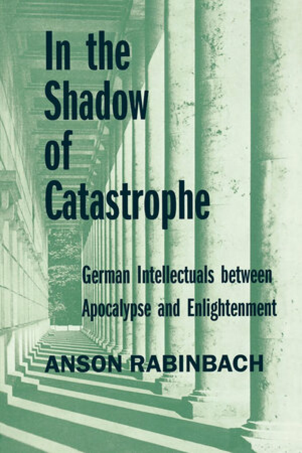In the Shadow of Catastrophe German Intellectuals Between Apocalypse and Enlightenment 1st Edition