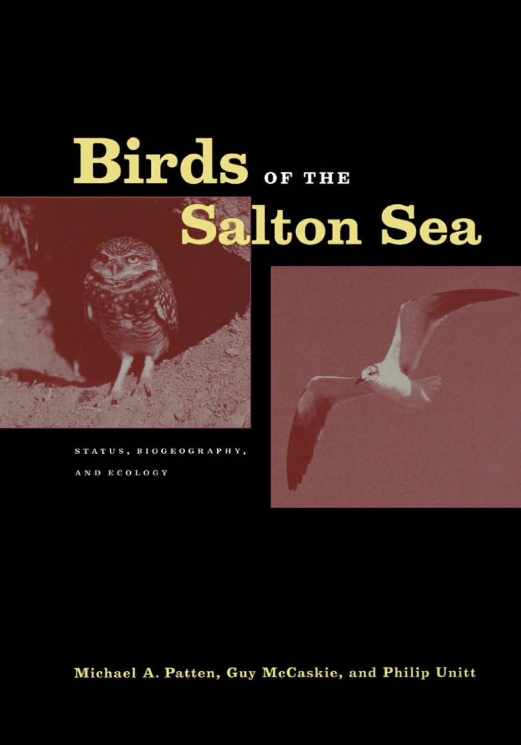 Birds of the Salton Sea Status, Biogeography, and Ecology 1st Edition