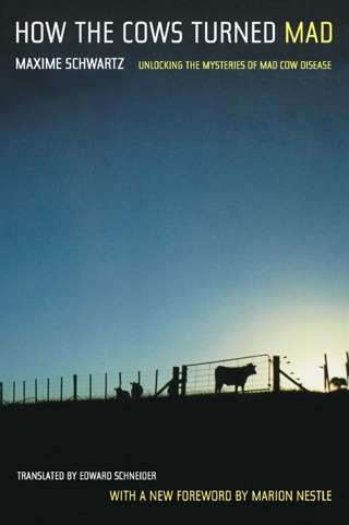Cover image: How the Cows Turned Mad 1st edition 9780520243378