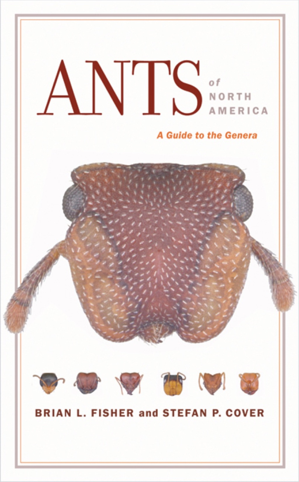 Ants of North America A Guide to the Genera 1st Edition