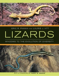 Cover image: Lizards: Windows to the Evolution of Diversity 1st edition 9780520234017