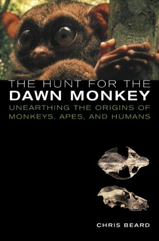 Cover image: The Hunt for the Dawn Monkey 1st edition 9780520249868