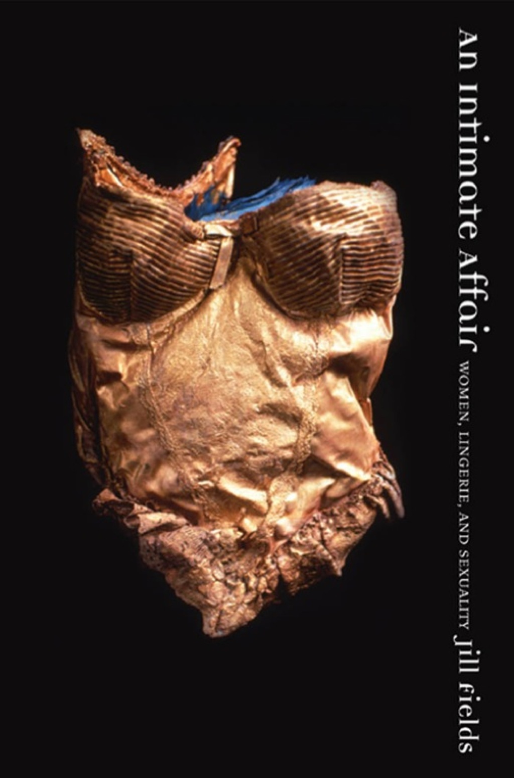 An Intimate Affair Women, Lingerie, and Sexuality 1st Edition