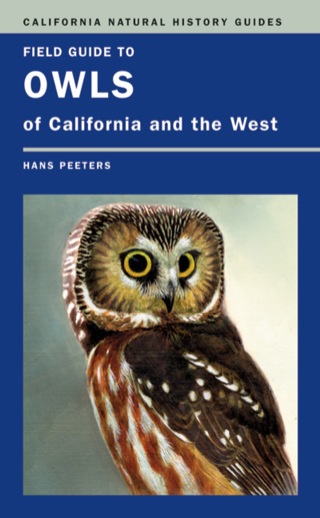 表紙画像: Field Guide to Owls of California and the West 1st edition 9780520252806