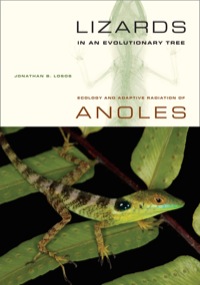 Cover image: Lizards in an Evolutionary Tree 1st edition 9780520269842