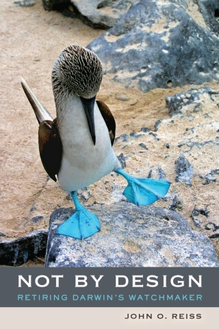 Imagen de portada: Not by Design 1st edition 9780520258938