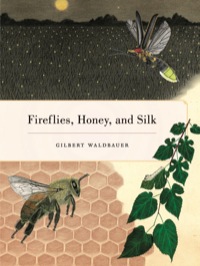 Cover image: Fireflies, Honey, and Silk 1st edition 9780520268074
