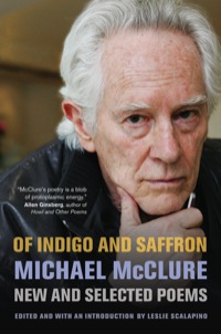 Cover image: Of Indigo and Saffron 1st edition 9780520272736