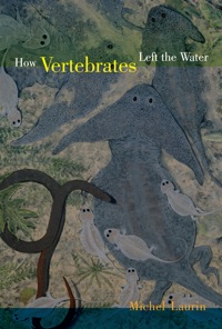 Omslagafbeelding: How Vertebrates Left the Water 1st edition 9780520266476