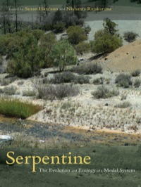 Cover image: Serpentine 1st edition 9780520268357