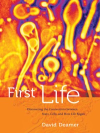Cover image: First Life 1st edition 9780520258327