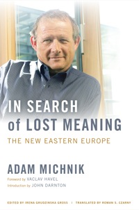 表紙画像: In Search of Lost Meaning 1st edition 9780520269231