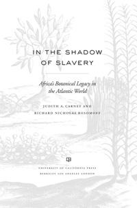 Omslagafbeelding: In the Shadow of Slavery 1st edition 9780520269965