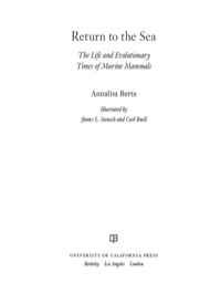 Cover image: Return to the Sea 1st edition 9780520355521