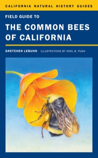 Cover image: Field Guide to the Common Bees of California 1st edition 9780520272842