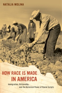 Titelbild: How Race Is Made in America 1st edition 9780520280083