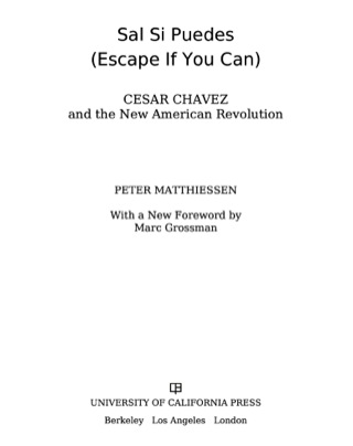 Cover image: Sal Si Puedes (Escape If You Can) 1st edition 9780520282506