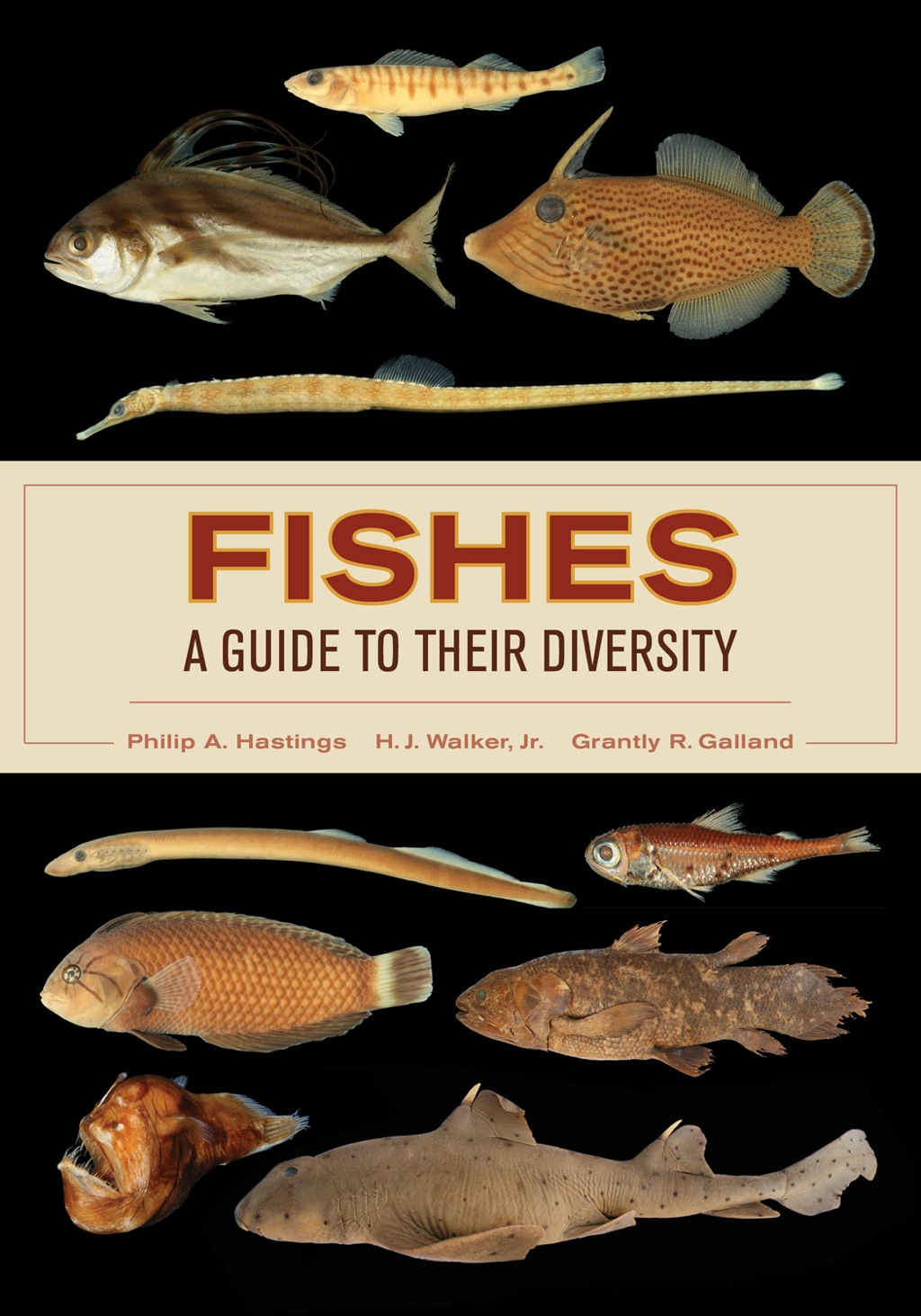 Fishes: A Guide to Their Diversity 1st Edition