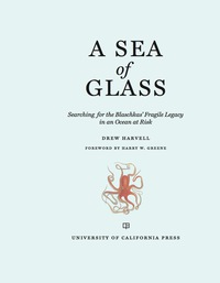 Omslagafbeelding: A Sea of Glass 1st edition 9780520303577