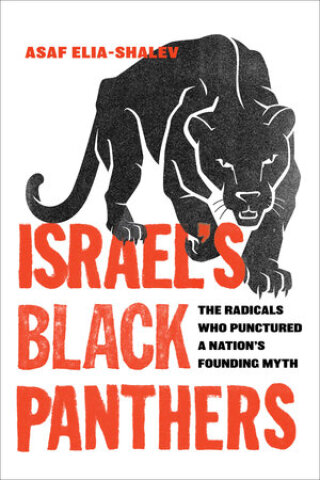 Titelbild: Israel's Black Panthers 1st edition 9780520294318