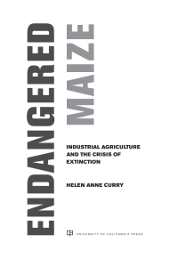 Cover image: Endangered Maize 1st edition 9780520307698