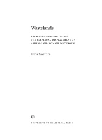 Cover image: Wastelands 1st edition 9780520368491