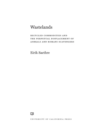 Cover image: Wastelands 1st edition 9780520368491