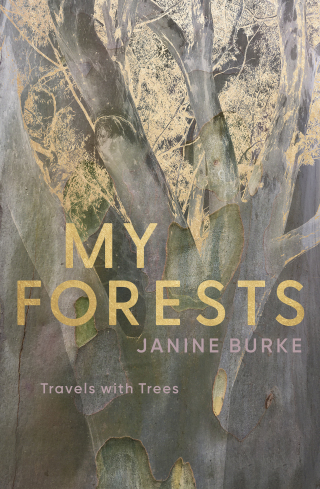 Cover image: My Forests 9780522877328
