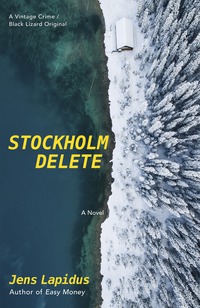 Cover image: Stockholm Delete 1st edition 9780525431718
