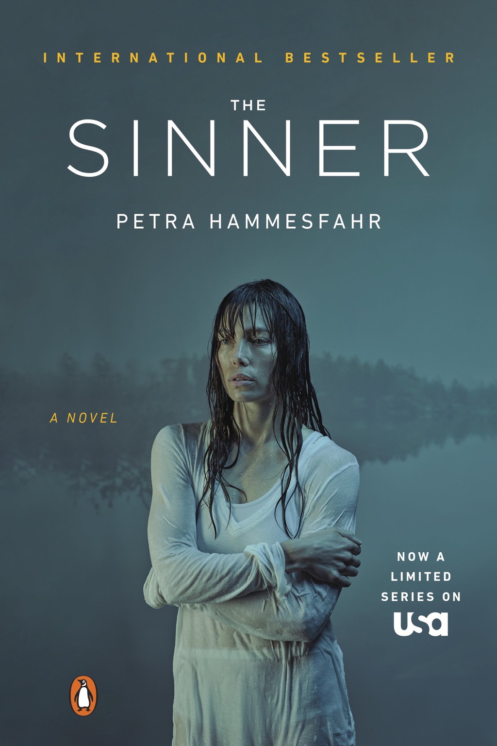 The Sinner (TV Tie-In) (eBook)