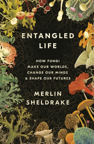 Cover image: Entangled Life 9780525510314