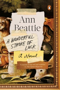 Cover image: A Wonderful Stroke of Luck 9780525557340