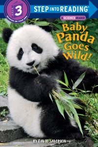 Cover image: Baby Panda Goes Wild! 9780525579168