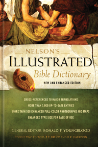 Cover image: Nelson's Illustrated Bible Dictionary 9780529106223
