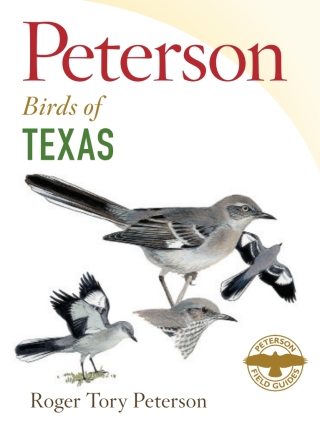 Cover image: Peterson Field Guide to Birds of Texas 9780544022133