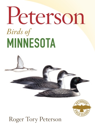 Cover image: Peterson Field Guide to Birds of Minnesota 9780544022874