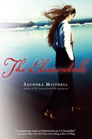 Cover image: The Elementals 9780544302396