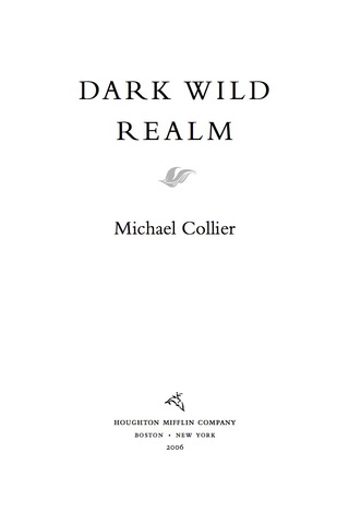 Imagen de portada: Dark Wild Realm 9780618582228