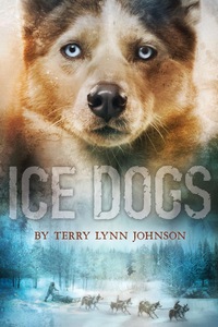 Cover image: Ice Dogs 9780544663879