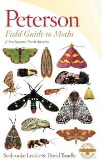Cover image: Peterson Field Guide To Moths Of Southeastern North America 9780544252110