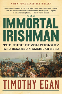 Cover image: The Immortal Irishman 9780544944831