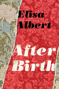 Imagen de portada: After Birth 9780544273733